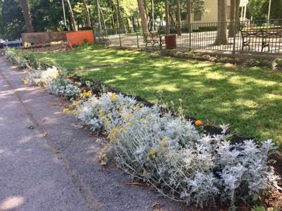 Mea Culpa: What I Got Wrong About Public Purpose Funds Life Frames learning garden grows on space provided by Public Purpose Funds.